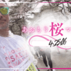 【あおもり桜マラソン】38km地点で無念の足攣り！フル4:25:06